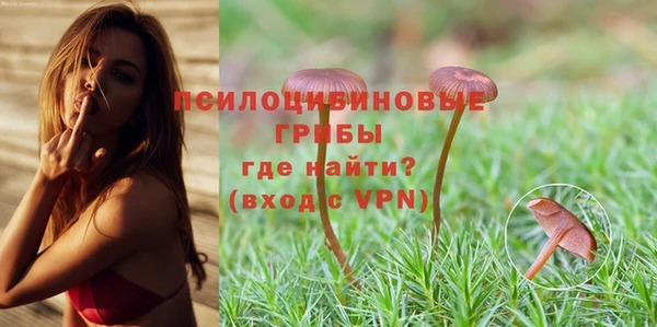 PSILOCYBIN Пролетарск