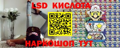 дмт Гатчина