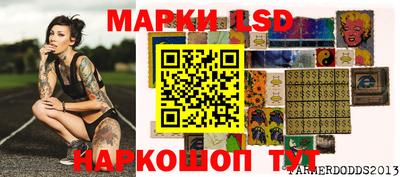 дмт Гатчина