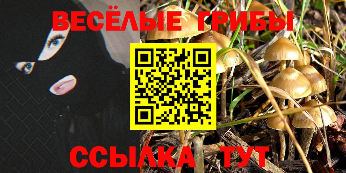 Галлюциногенные грибы MAGIC MUSHROOMS Алапаевск