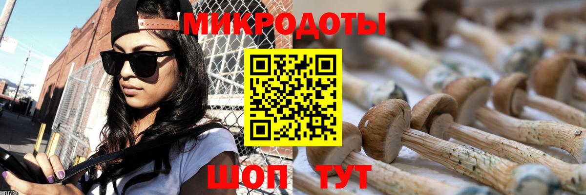 Алапаевск  Галлюциногенные грибы мухоморы  Вход с VPN 